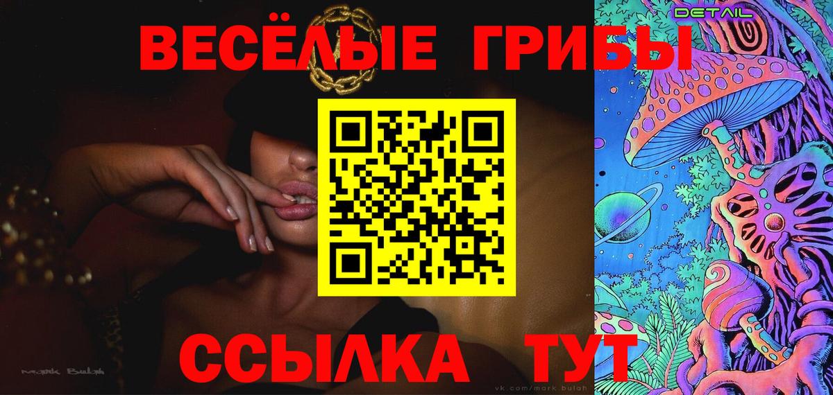 Псилоцибиновые грибы мицелий Бийск